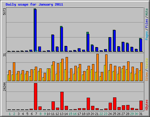 Daily usage for January 2011