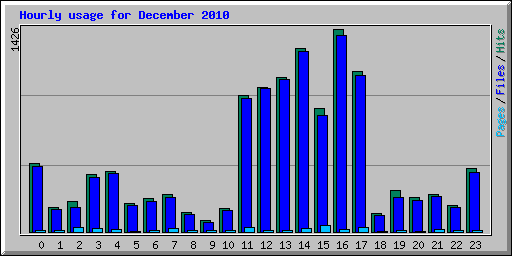 Hourly usage for December 2010