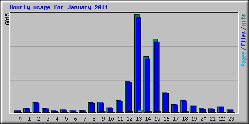 Hourly usage for January 2011